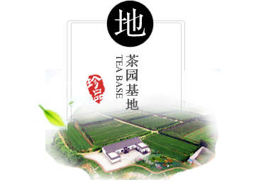 ��ֲ����