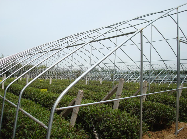 天气渐冷,瀚林春越冬防护正当时